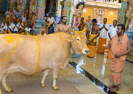 Gho Pooja Seva