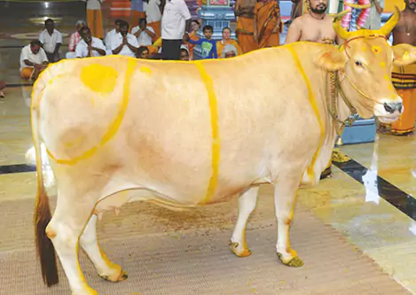 Sri Gho Pooja